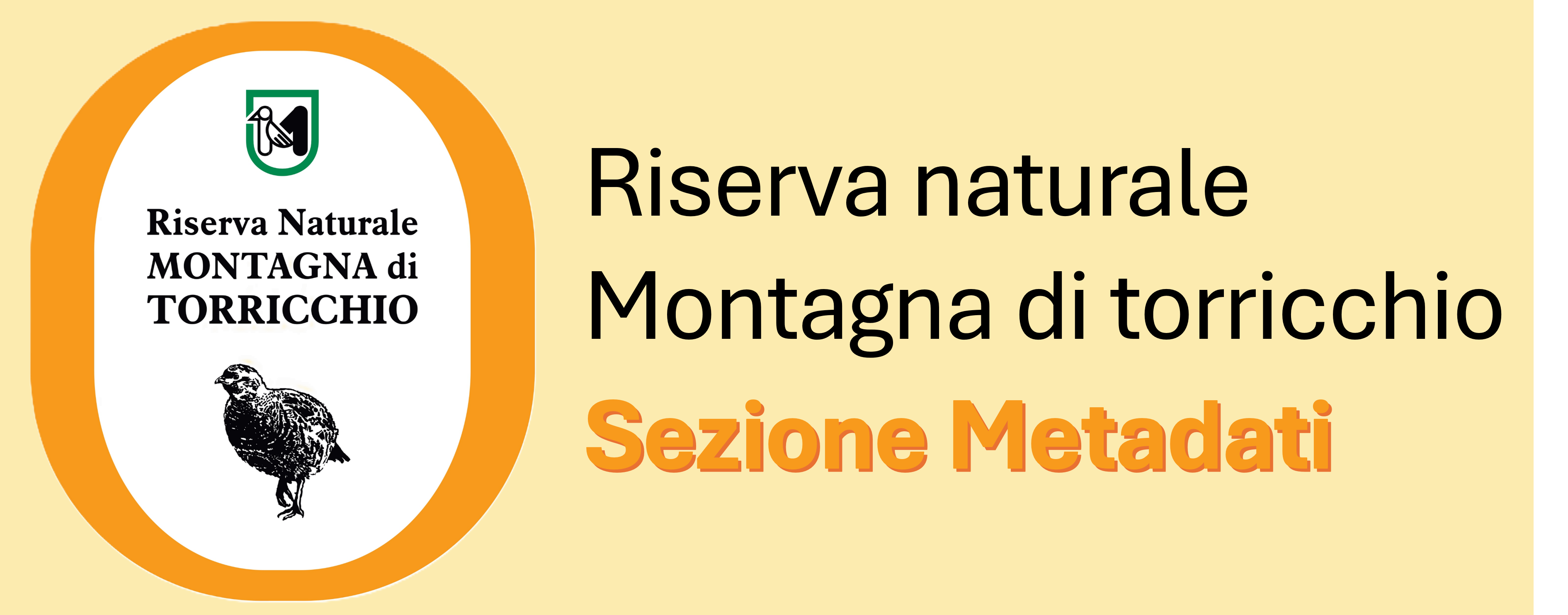 Sezione Metadati