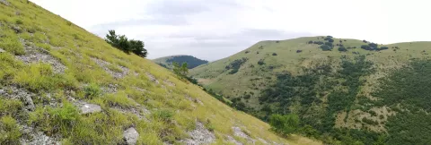 Pendici M. Ferma - M. Cetrognola